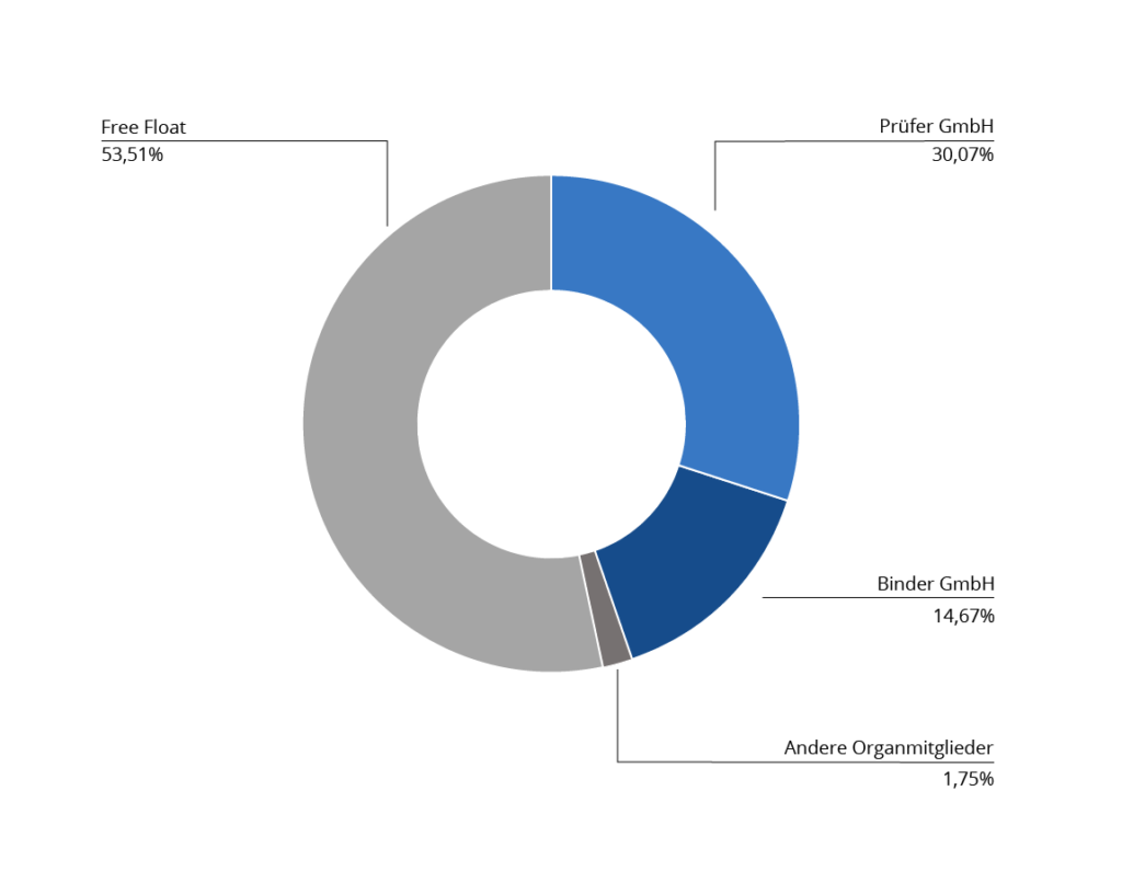 Die Aktie – Delticom